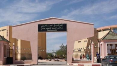 صورة النعامة.. ترقية المركز الجامعي صالحي أحمد إلى جامعة