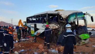 صورة النعامة.. وفاة سبعة أشخاص وجرح 19 آخرين في حادث مرور ببلدية مغرار