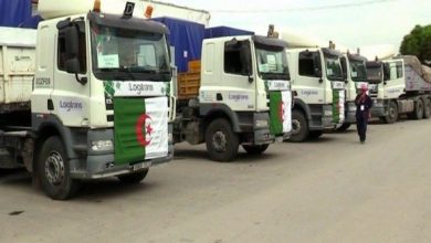 صورة الوادي: مشاريع لوجيستية لترقية فرص التصدير نحوالأسواق الإفريقية