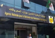 صورة تطوير حقول جديدة وتعزيز الإنتاج : التوقيع على اتفاق-إطار بين “ألنفط” وبتروغاز العمانية