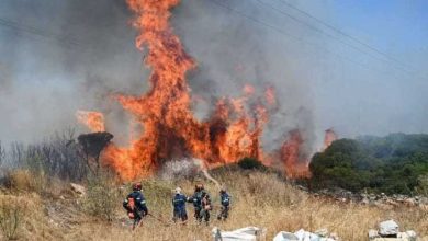صورة اليونان : طلب من الاتحاد الأوروبي المساعدة في إخماد حرائق الغابات