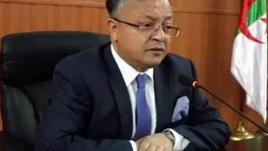 صورة بداري يسلم رسالة من رئيس الجمهورية إلى الرئيس الصومالي