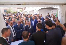 صورة كمال بداري : الجامعة الجزائرية أصبحت محركا للنمو الاقتصادي