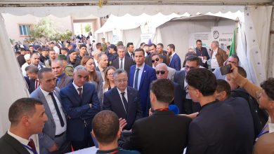 صورة كمال بداري : الجامعة الجزائرية أصبحت محركا للنمو الاقتصادي