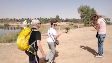 صورة توقرت.. برامج للترويج للقدرات السياحية لتعزيز جاذبيتها