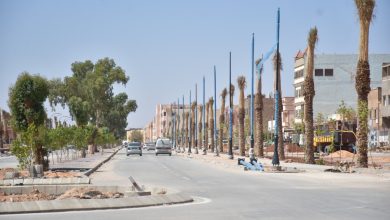صورة النعامة :  برنامج لتجسيد 25 عملية لصيانة وعصرنة الطرقات