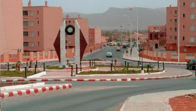 صورة بشار.. مشروع لتعزيز قدرات الشباب وإشراكهم في التسيير المستدام للأراضي