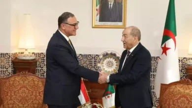 صورة بلحاج يشارك بالقاهرة في الاجتماع الثامن رفيع المستوى لرؤساء المحاكم الدستورية