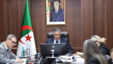 صورة بلعريبي يشدّد على دعم الاستثمار وتسريع وتيرة الإنجاز في المدن الجديدة