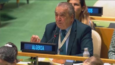 صورة مجلس الأمن الدولي : الجزائر ترافع بصرامة وتفان عن القضايا العربية والإفريقية