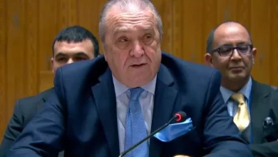 صورة الجزائر تدعو في مجلس الأمن إلى إطلاق عملية تشاور شاملة لتعزيز فعالية عمليات حفظ السلام
