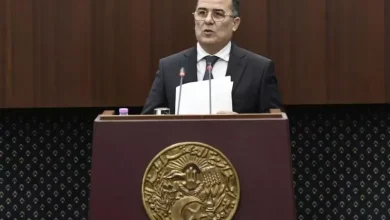 صورة وزير العمل: تمديد عطلة الأمومة مكسب هام لتعزيز الحماية الاجتماعية للمرأة