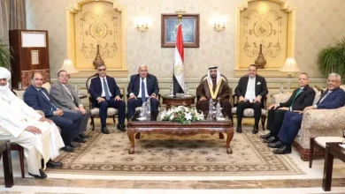 صورة بوغالي يستقبل بالقاهرة من قبل رئيس البرلمان العربي