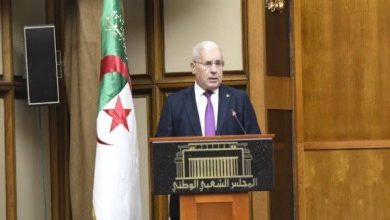 صورة مكافحة الجريمة الإلكترونية:بوغالي يبرز ضرورة تحديث المنظومة التشريعية الوطنية