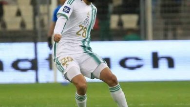 صورة استفسر عن حالته الصحية وجاهزيته للعودة إلى الملاعب.. بيتكوفيتش يطلب مشورة سويسرية حول قندوسي