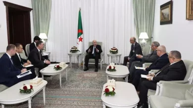 صورة رئيس الجمهورية يستقبل نائب رئيس الوزراء الروسي
