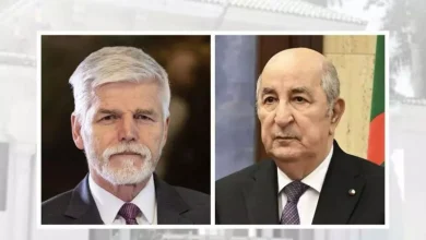صورة رئيس الجمهورية يتلقى مكالمة هاتفية من نظيره التشيكي