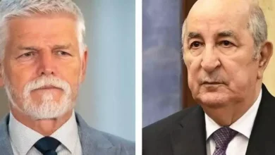 صورة رئيس الجمهورية يتلقى رسالة تهنئة من نظيره التشيكي بمناسبة الذكرى الـ71 لثورة نوفمبر المجيدة