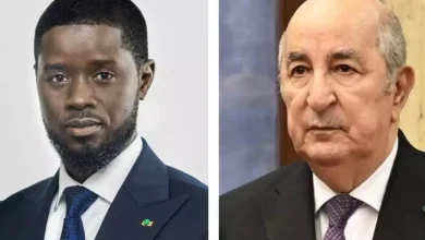 صورة رئيس الجمهورية يتلقى رسالة تهنئة من نظيره السنغالي بمناسبة الذكرى الـ71 لثورة نوفمبر المجيدة