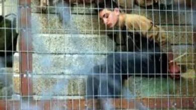 صورة تصاعد وتيرة الاعتقالات بالضفة بحق مواليد غزة، أو من سكان غزة