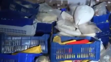 صورة تلمسان..حجز 310 قنطار من الجبن الفاسد وتوقيف 12 شخصاً
