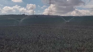 صورة عين تموشنت.. مشروع لربط الحاجز المائي بمنطقة “دزيوة” بمشروع نظام السقي – تافنة