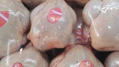 صورة تندوف.. توزيع حوالي 150 طن من اللحوم البيضاء يوميا عبر الأسواق المحلية