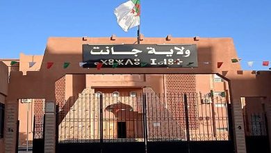 صورة وساطة الجمهورية: التكفل بـ 97 بالمائة من عرائض المواطنين خلال سنة 2024 بولاية جانت