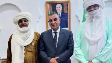 صورة وزير الأشغال العمومية يؤكد دعم مشاريع تطوير شبكة الطرق بولاية جانت