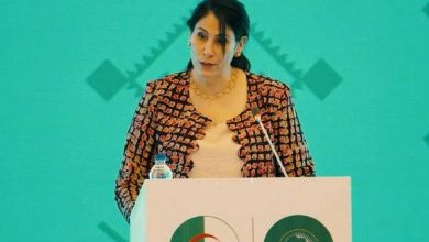 صورة السيدة حدادي:المبادرات التنموية لفائدة الدول الإفريقية تجسد البعد القاري للسياسة الجزائرية