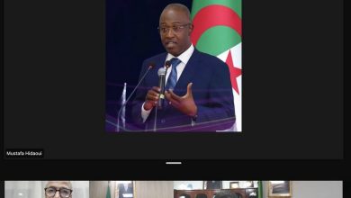 صورة وزير الشباب: ترقية ثقافة التطوع رهان لتعزيز المواطنة وترسيخ التضامن المجتمعي