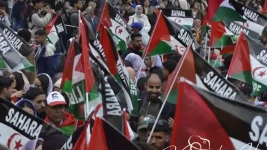 صورة اليوم العالمي لمناهضة الاحتلال:دعوة بباريس لتمكين الشعب الصحراوي من حقه في تقرير المصير