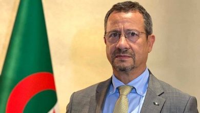 صورة وزير الأشغال العمومية يستقبل نواب ولاية بني عباس لبحث مشاريع البنى التحتية
