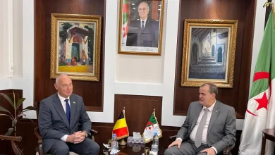 صورة وزير التجارة الخارجية يبحث مع السفير البلجيكي سبل تعزيز التعاون الاقتصادي بين البلدين