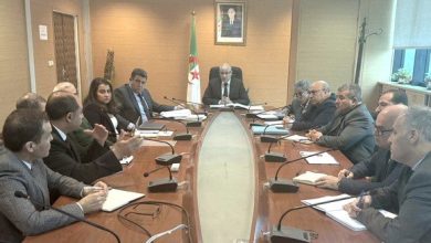صورة تجارة: اعتماد استراتيجية رقمية شاملة لإرساء نظام معلوماتي متكامل