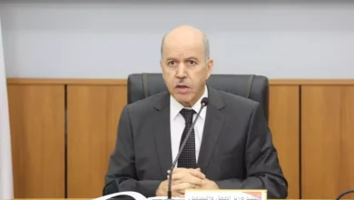 صورة وزير العمل: زيادات الأجور ومنحة البطالة تجسيد لالتزامات رئيس الجمهورية بحماية القدرة الشرائية