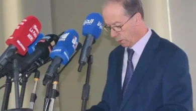 صورة سايحي يبرز التقدم الذي أحرزته الجزائر في مجال مكافحة مقاومة مضادات الميكروبات
