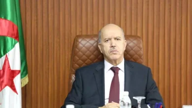 صورة وزير العمل: صندوق العطل مدفوعة الأجر يضطلع بدور استراتيجي في دعم الاقتصاد الوطني