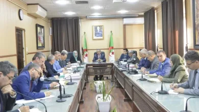 صورة سعداوي يشدد على ضرورة اتخاذ التدابير الكفيلة لتسيير الفصل الثالث في أحسن الظروف