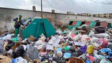 صورة سعيدة..رفع أكثر من 50 طنا من النفايات