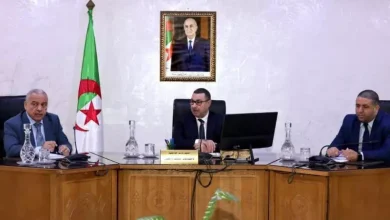 صورة وزير الداخلية يشرف على اجتماع تنسيقي مع ولاة تبسة والوادي وخنشلة
