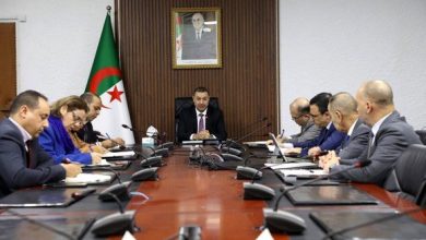 صورة ضرورة الإسراع في اتخاذ الإجراءات اللازمة لإنشاء شركة مختصة في النقل الجوي الداخلي