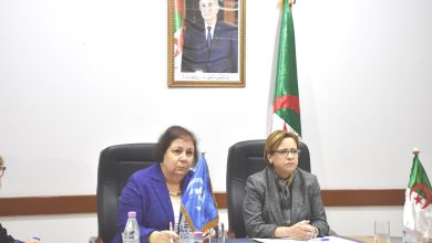 صورة وزيرة التضامن تستقبل المديرة الإقليمية لليونيسيف:  سياسة الجزائر في حماية الطفولة وترقيتها تتوافق مع لأهداف الأممية والدولية