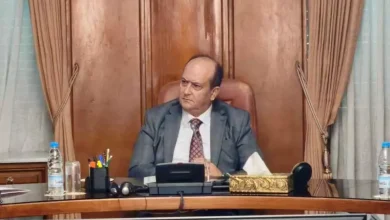 صورة مكالمة هاتفية بين الوزير الأول سيفي غريب ونظيره المصري مصطفى مدبولي لتعزيز التعاون الثنائي