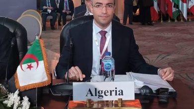 صورة سفيان شايب : نحو فتح العديد من المراكز الثقافية الجزائرية بالخارج