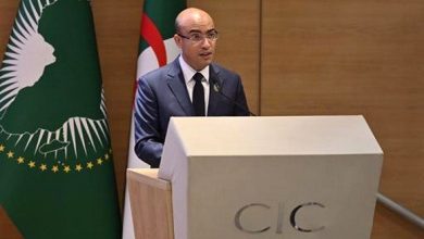 صورة شايب: نجاح “يوم الجاليات الإفريقية” يعكس اهتمام الرئيس تبون بالجالية الجزائرية بالخارج