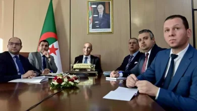 صورة لقاء افتراضي يجمع الحكومة بكفاءات أطباء الجزائريين بالخارج لتعزيز قطاع الصحة