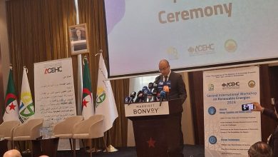 صورة تعد همزة وصل مع المؤسسات البحثية..البوابة الوطنية للكفاءات الوطنية بالخارج في طور الاستكمال