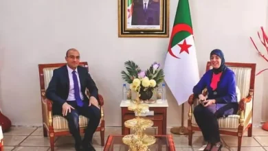 صورة شايب يتباحث مع الوزيرة المحافظة السامية للرقمنة حول سبل تفعيل آليات عصرنة ورقمنة الخدمات القنصلية