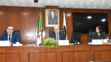 صورة انخفاض حرائق الغابات ب91 بالمائة في 2024